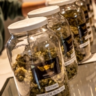 Higher Love Cannabis Dispensary Norway