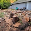 Welch Tree Service gallery