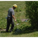 C  & R Tree Service - Stump Removal & Grinding