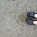 Duxbury Beach Park - Beaches