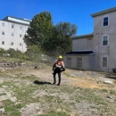 Kingkiner Tree Service - Arborists