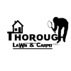 Thorough Lawn and Carpet gallery
