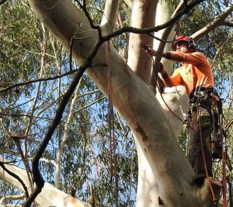 Arborzone - Inverloch, VIC
