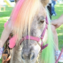 Amazing Pony Parties LLC - Pony Rides