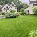 Davida Landscape Designs - Landscape Designers & Consultants