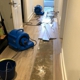 Hydro Water Mitigation