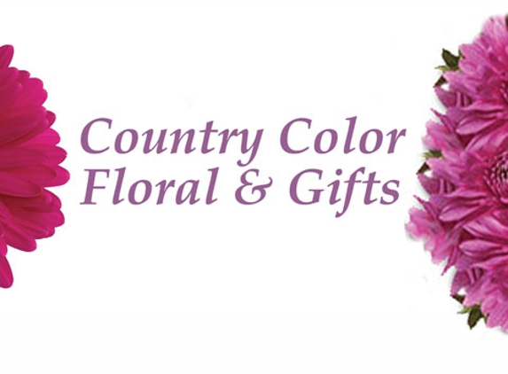 Country Color Floral & Gifts - Francesville, IN