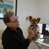 Frost Chiropractic Longevity-Wellness-Frost Gregory P DC QM gallery