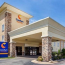Comfort Suites Jonesboro University Area - Motels