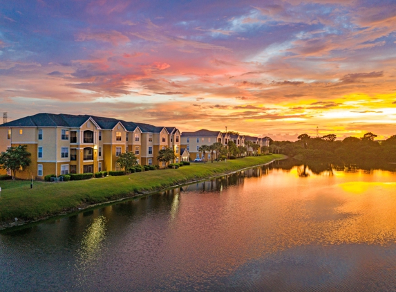 Aluna Largo Apartments - Clearwater, FL