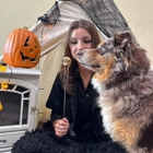 PlayStayTion Pet Resort & Training