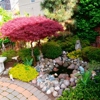 Modern Maintenance Landscaping gallery