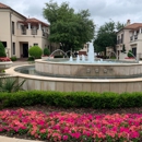 Smith Lawn and Tree - Gardeners