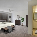 Sabal Pointe Apartments - Apartments