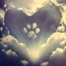 Legacy Pet Crematory - Cemeteries
