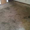 Alpha & Omega Carpet Care gallery