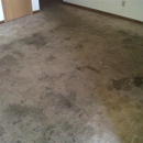 Alpha & Omega Carpet Care - Carpet & Rug Cleaning Equipment & Supplies