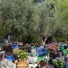 Moon Valley Nurseries