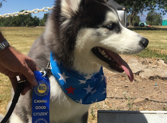 New Walk K9 Training. - Riverside, CA