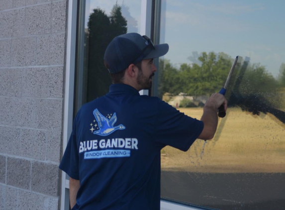 Blue Gander Window Cleaning - Boise, ID