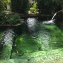 Everglades Hostel - Hostels