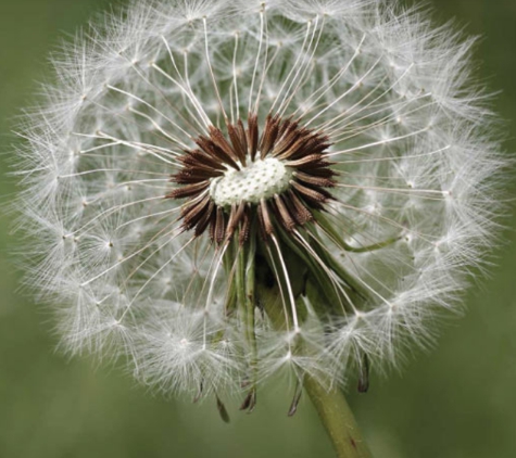 Northern Area Funerals Pty Ltd - Jamestown, SA
