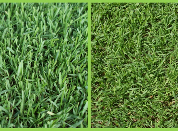 Walkers Turf Supplies - Silkstone, QLD