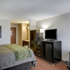 Comfort Inn gallery