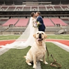 Hillary Ferguson Photography gallery