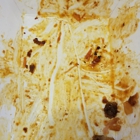 Pizza-Q
