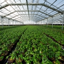 Conley's Greenhouse Manufacturing and Sales - Greenhouse Builders & Equipment