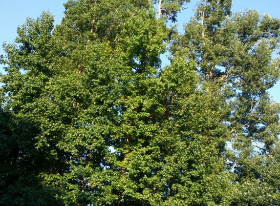 Marsh Creek Park - Raleigh, NC