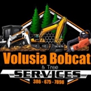 Volusia Bobcat & Tree Service - Arborists