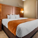 Comfort Suites Bethlehem Near Lehigh University and Lvi Airport - Motels