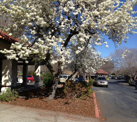 The Fathers House - Vacaville, CA