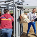 Colorado Academy of Veterinary Technology - Colleges & Universities