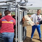 Colorado Academy of Veterinary Technology