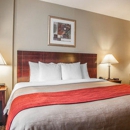 Comfort Inn Toms River - Motels