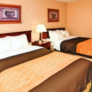 Comfort Inn Red Horse Frederick - Motels