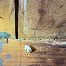 P.I. Home Inspection Services - Real Estate Inspection Service