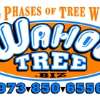 Wahoo Tree