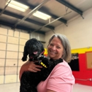 Devildog Canine - Dog Training