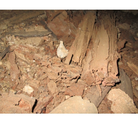 Resi Inspect - West Bathurst, NSW