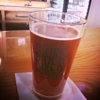 Souris River Brewing gallery