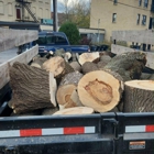 Northern Lakes Tree Service