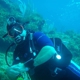 Signature Scuba Diving