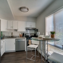 River Pointe Apartments - Apartments