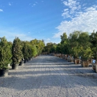 Moon Valley Nurseries