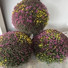 Flower Shoppe Inc