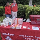 Mike Ingham - State Farm Insurance Agent